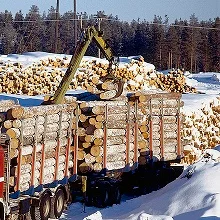 Перевозка грузов. Длинномер открытый аренда. по Коряжме, Коряжме