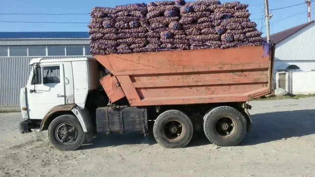 Тонар Саха (Якутия), быстро Саха (Якутия), быстро