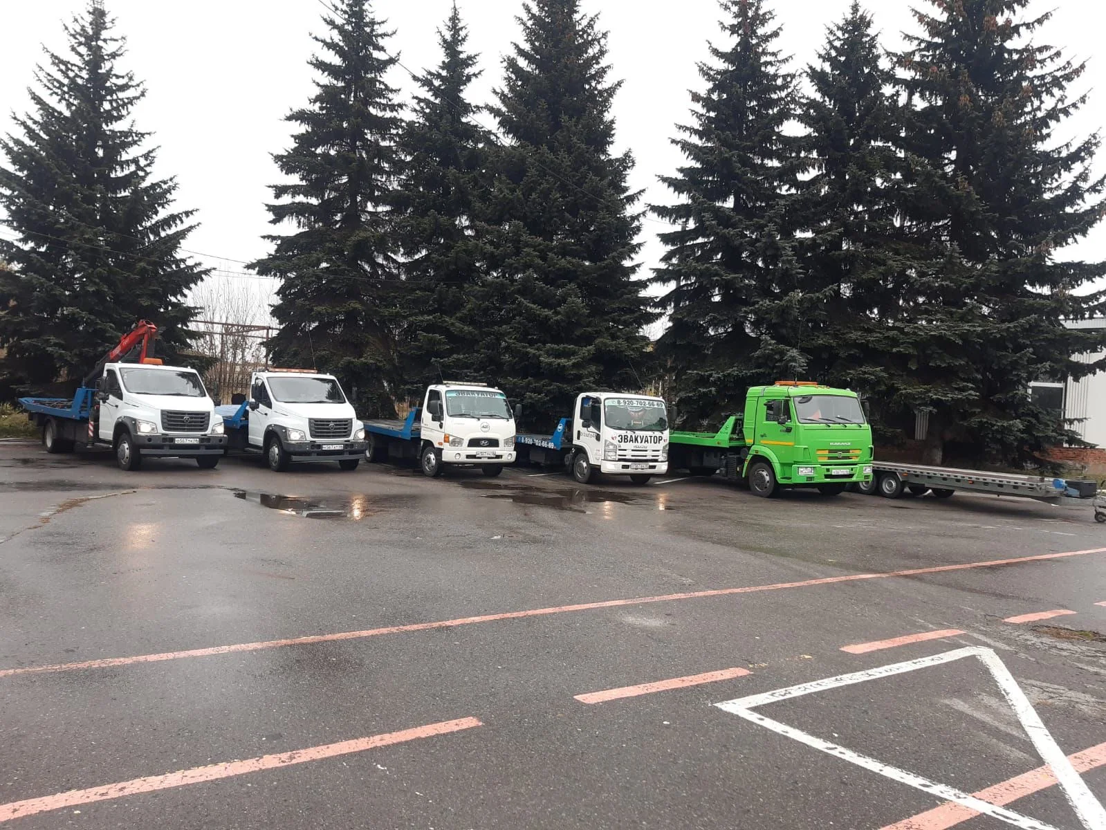 Окажем услуги Приморскому краю