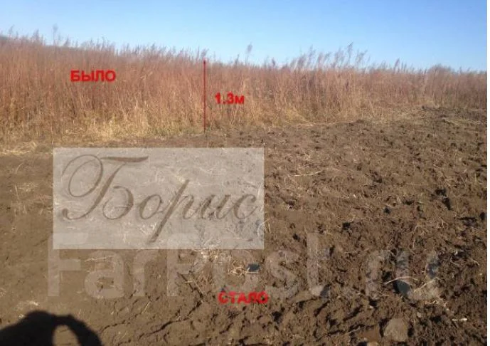Доставим бульдозер Алтайскому краю