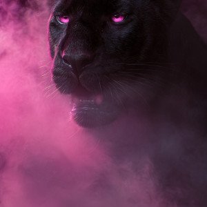 Призрачная пантера