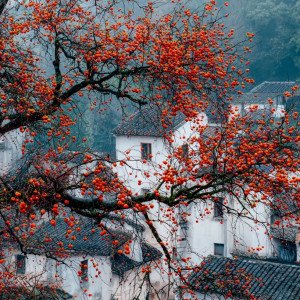 Дары поздней осени