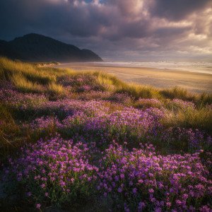 Фиолетовый закат Северного Орегона