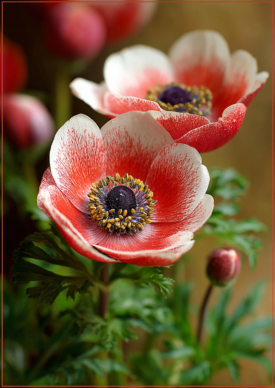 Промпт (промт) для нейросети - Midjourney | Узорчатые анемоны