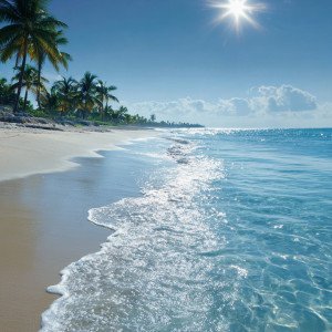 Летняя безмятежность