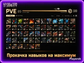 🔥Прокачаю Все Навыки На Максимальный Уровень | PVE