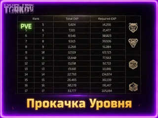 🔥Прокачаю Вам Уровень 1-60+ LVL | PVE🔥