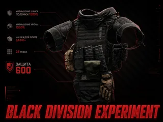🔥БРОНЯ | BLACK DIVISION EXP | ЗАЩИТА 1080 | БАФФЫ