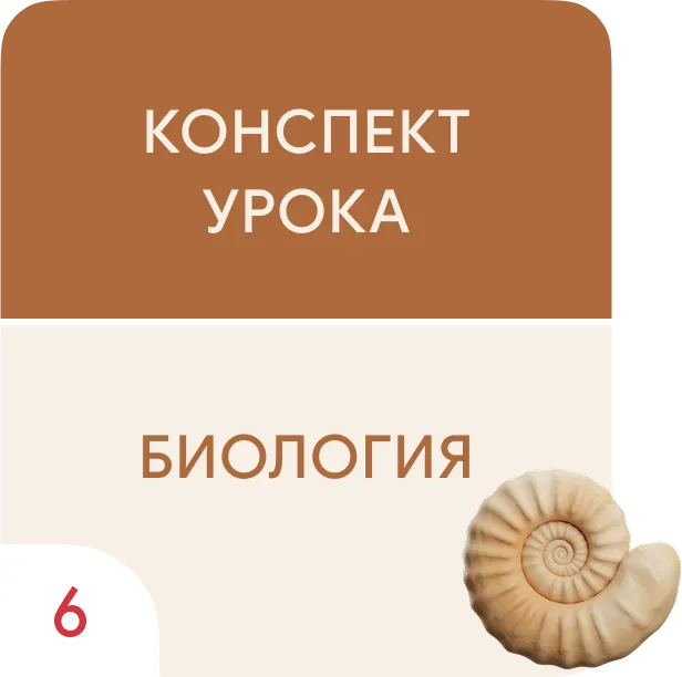 Образование плодов и семян 1 Образование плодов и семян 1