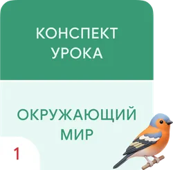 Прогулки на природе. Правила поведения в природе