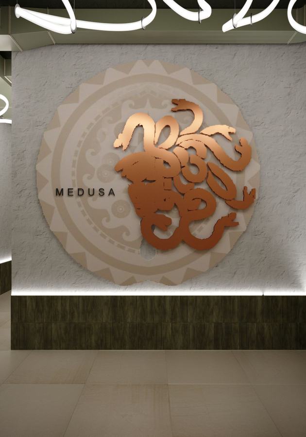 Кальянная “MEDUSA”: входная зона, визуализация