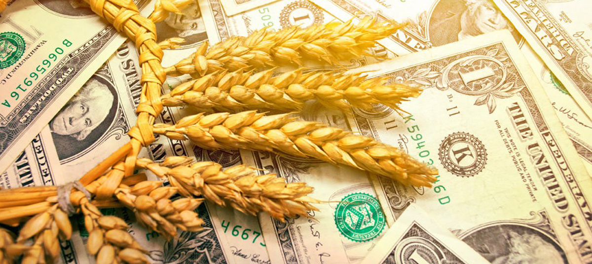цены на пшеницу