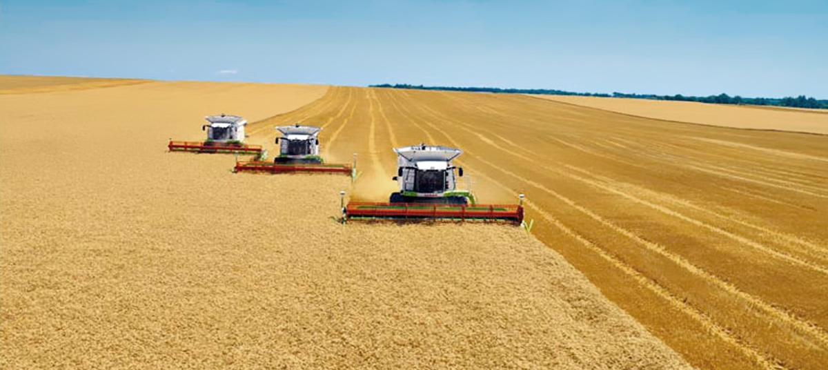 Сельское хозяйство сбор пшеницы