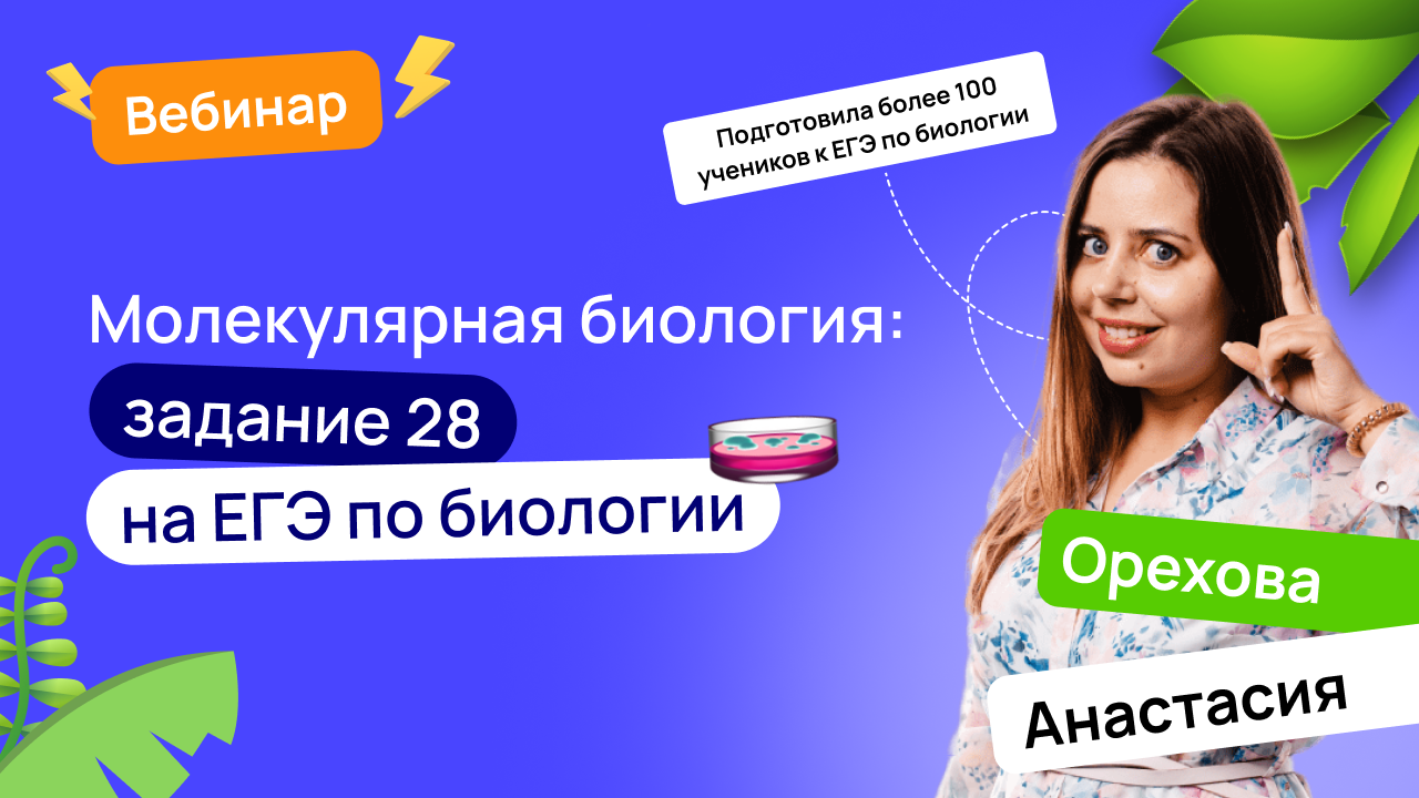 Молекулярная биология: задание 28 на ЕГЭ по биологии