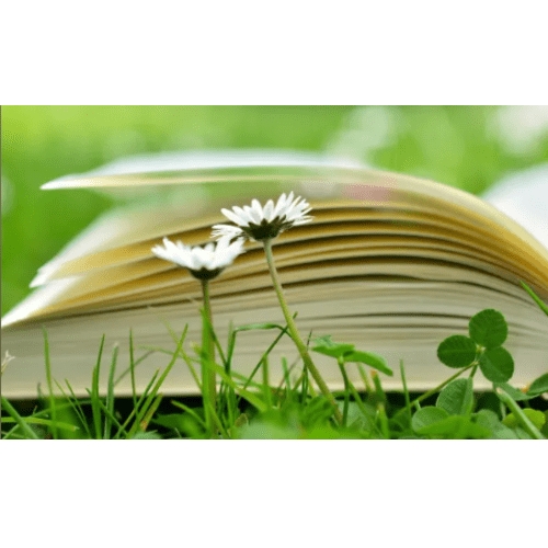 Канал Max - Здоровье без Книг и Зубрежки эко зож экомедицина