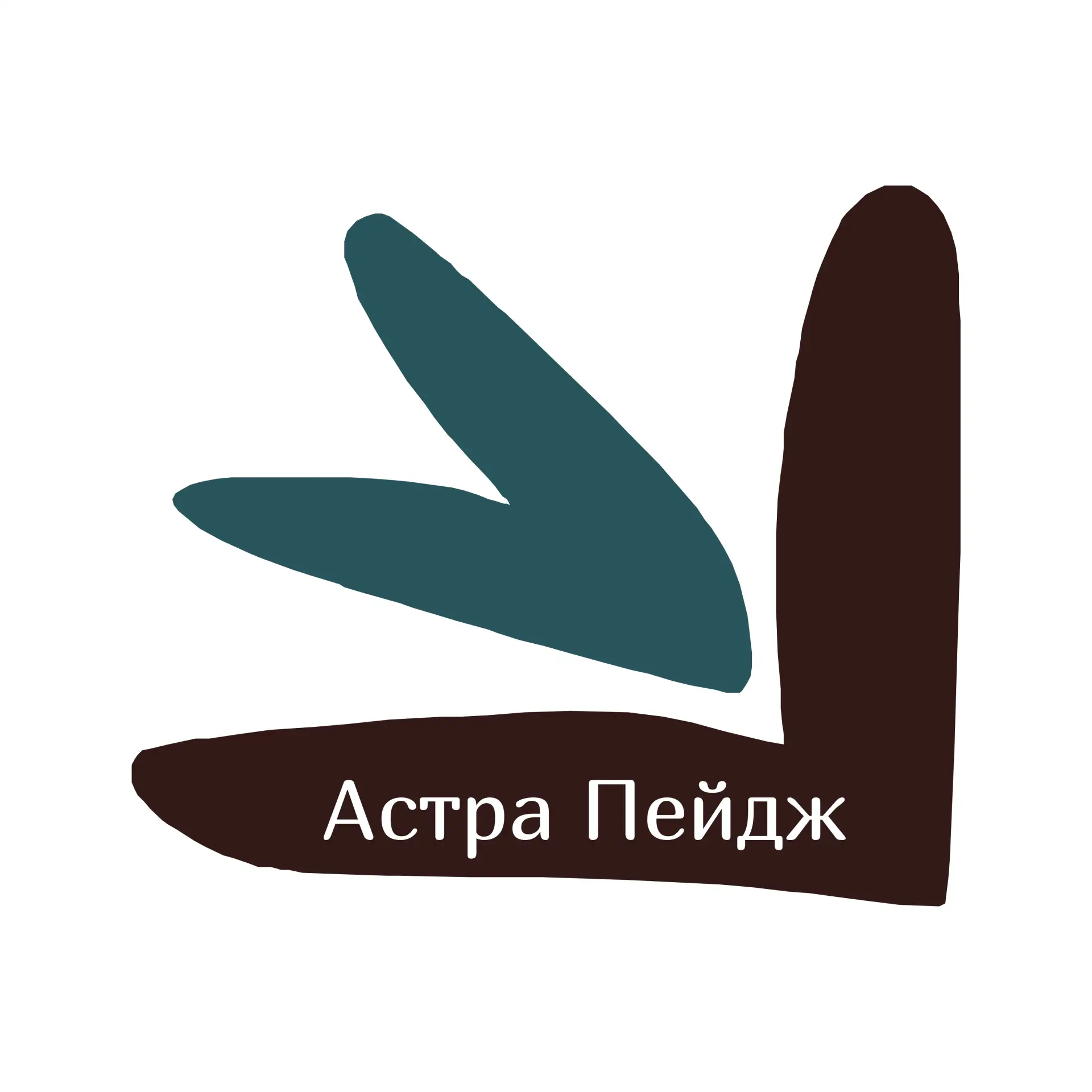 Канал Max - Астра Пейдж | Клиентский сервис с экспертами