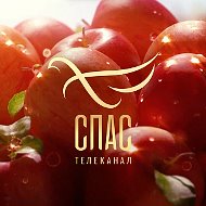 Канал Max - Телеканал СПАС
