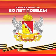 Канал Max - Воронежская область
