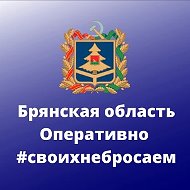 Канал Max - Брянская область. Оперативно