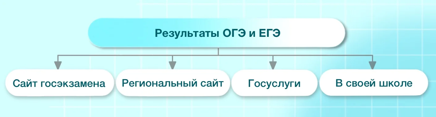 Сайт огэ результаты. Протокол результатов огэ. как узнать результаты огэ.