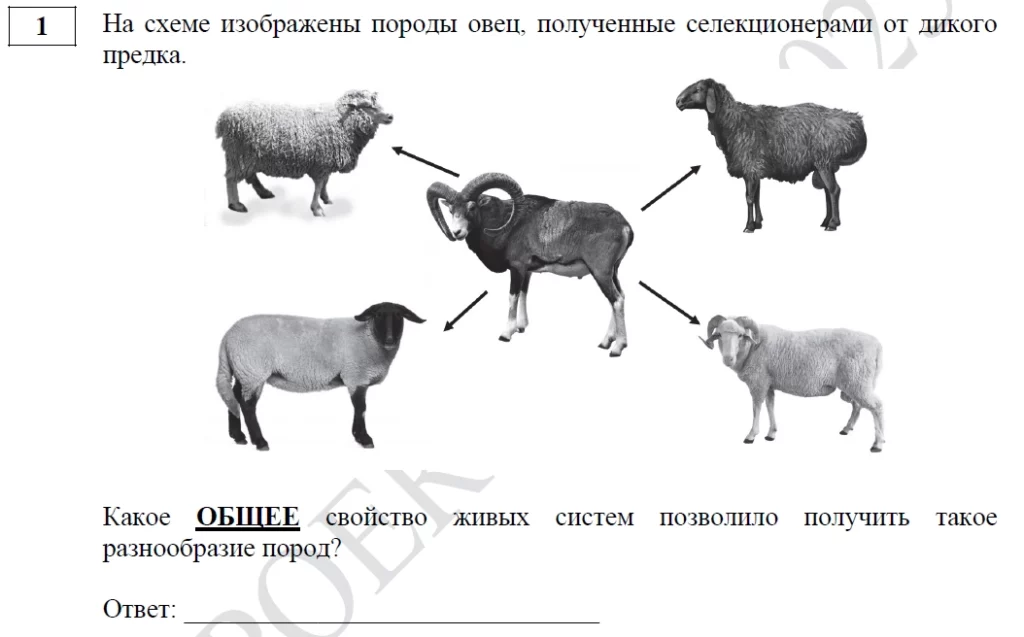 сдать огэ по биологии на 5
