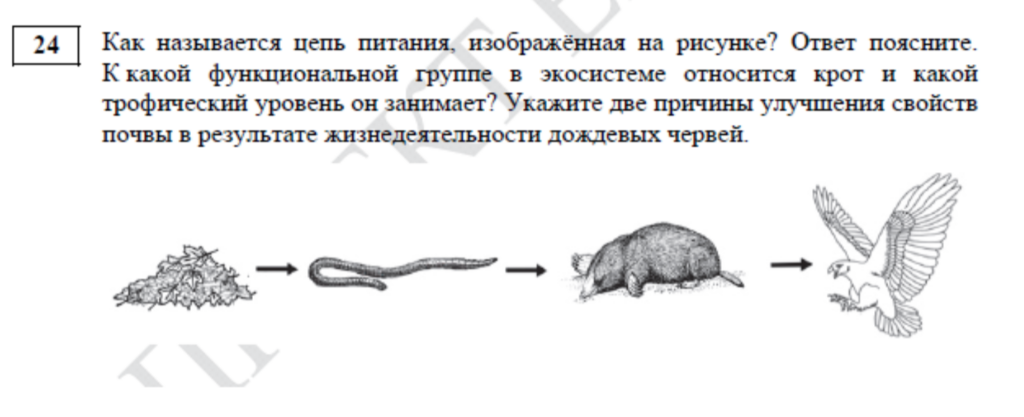 задание ЕГЭ по биологии