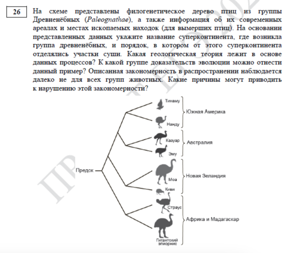 задание ЕГЭ по биологии