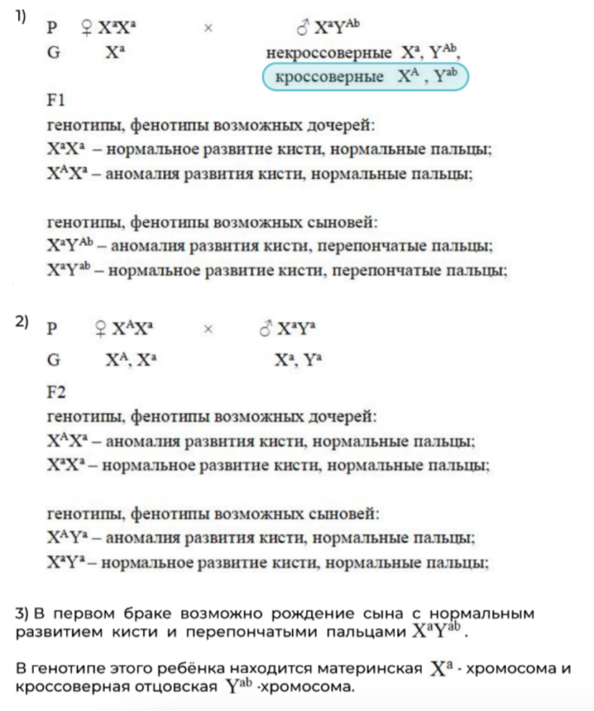 решение задания 28 по биологии