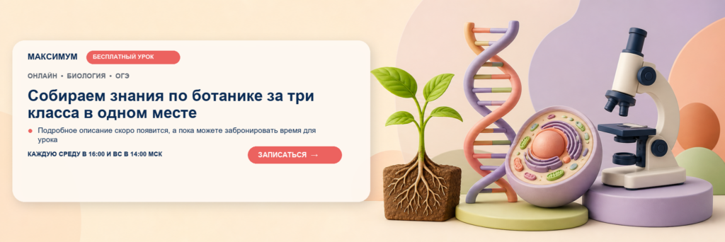 Открытый урок: Собираем знания по ботанике за три класса в одном месте