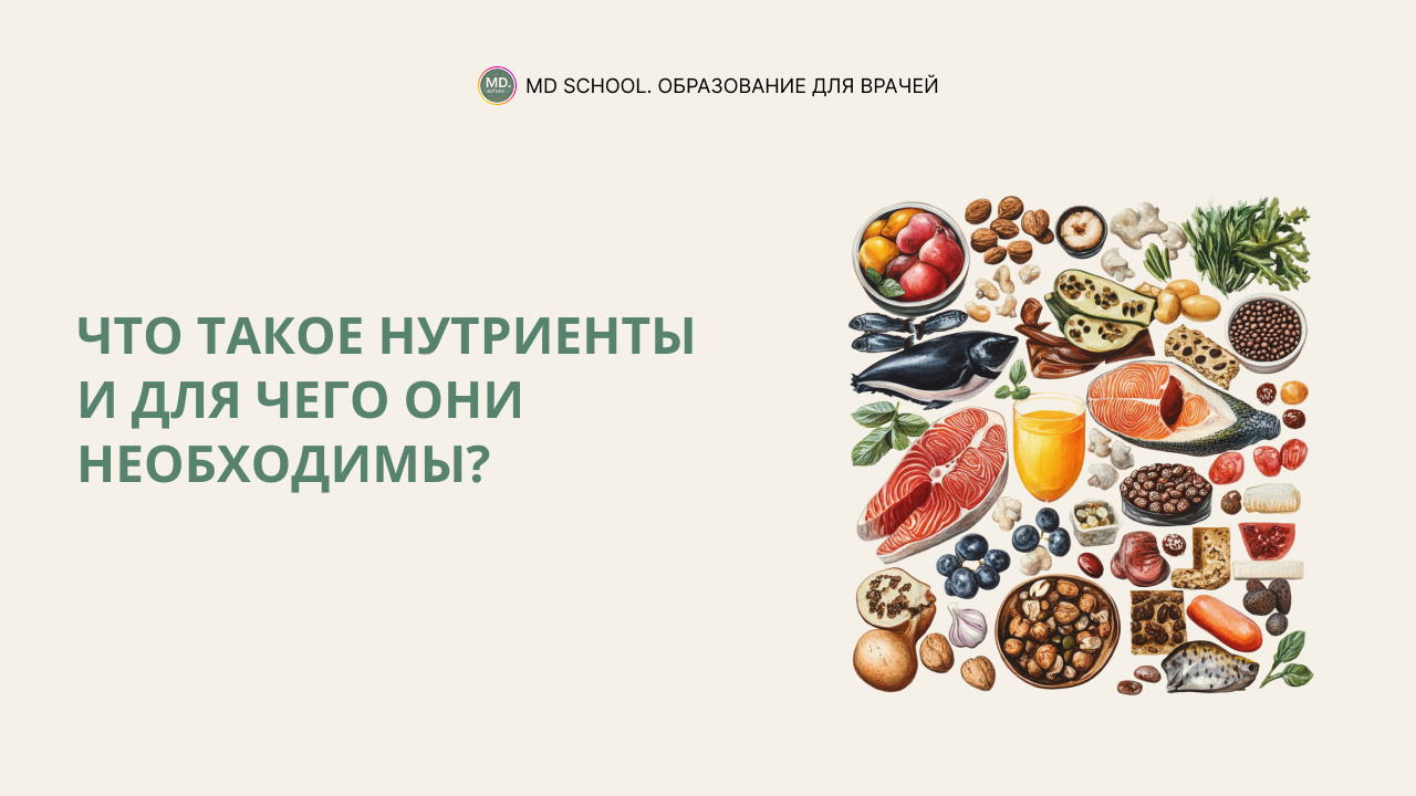 Картинка статьи Что такое нутриенты и для чего они необходимы?