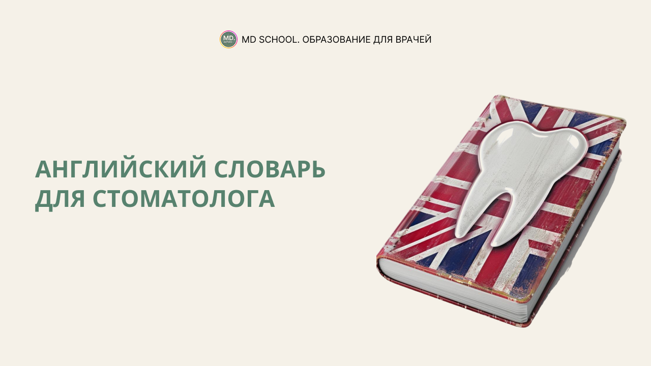 Картинка статьи Английский словарь для стоматолога
