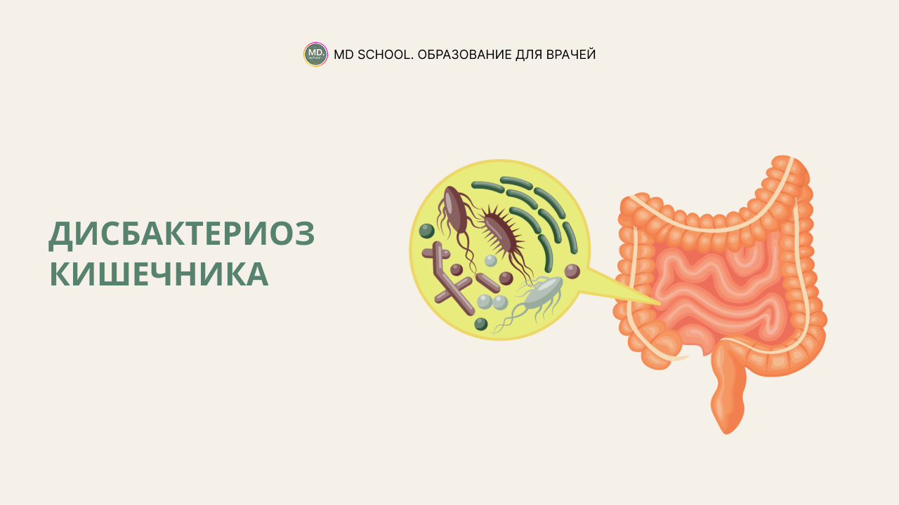 Картинка статьи Дисбактериоз кишечника