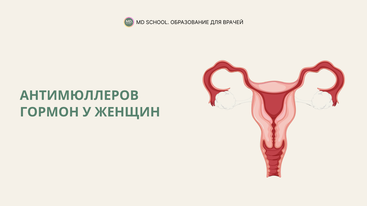 Картинка статьи Антимюллеров гормон у женщин