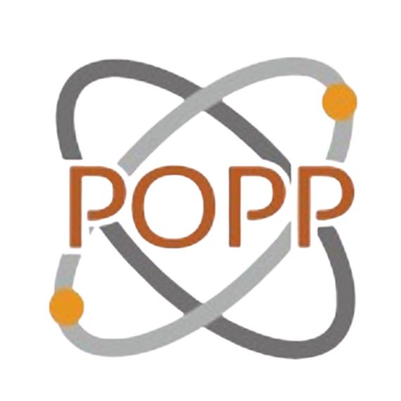 Организатор РОРР