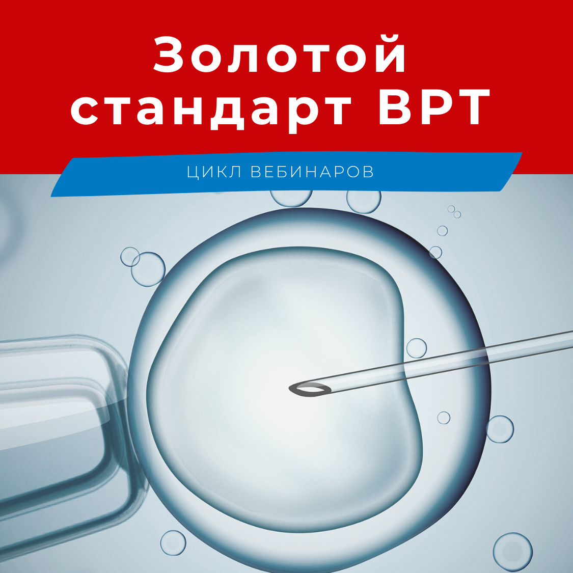 после подсадки эмбрионов оргазм фото 105