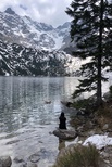 Курс 4371