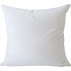 Pillow test