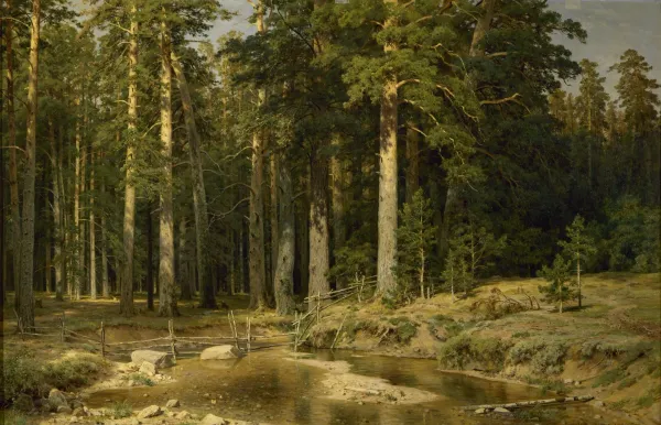 Картина Ивана Шишкина «Корабельная роща», 1898