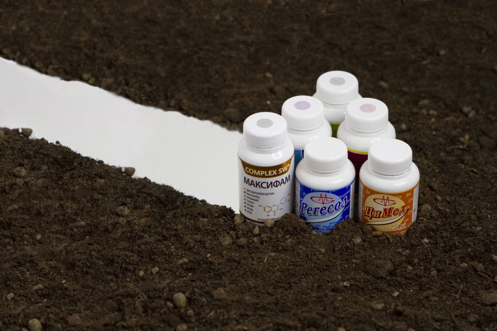 IMG_7875 (1) (1).jpg