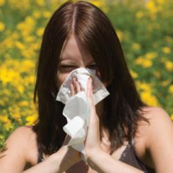 allergija-250x250.jpg allergija-250x250.jpg