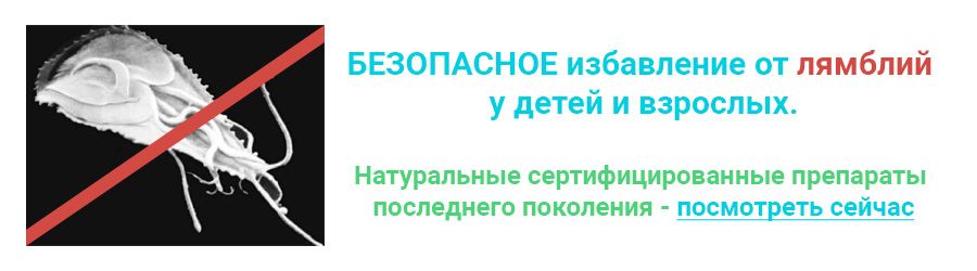 Признаки лямблиоза у взрослых и детей. Методы лечения. Диетотерапия