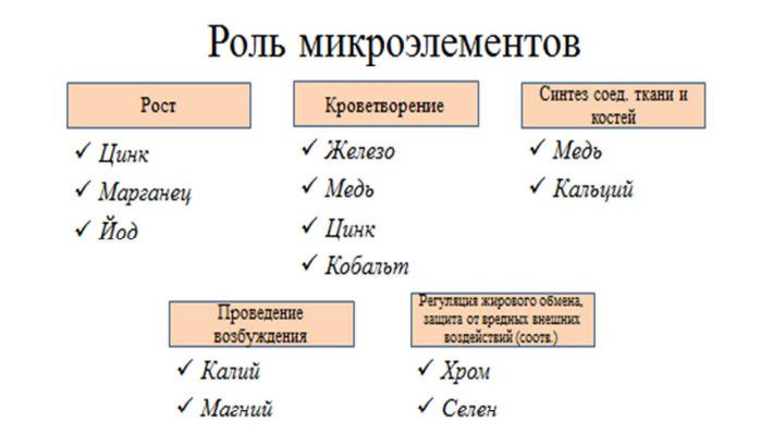 Аскаридоз - как заражается человек, признаки и симптомы