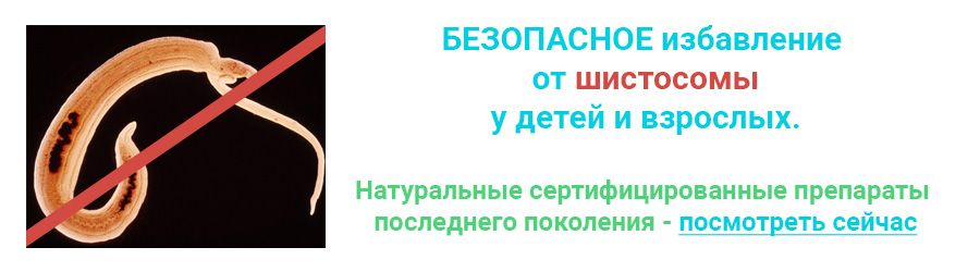 шистосома.jpg