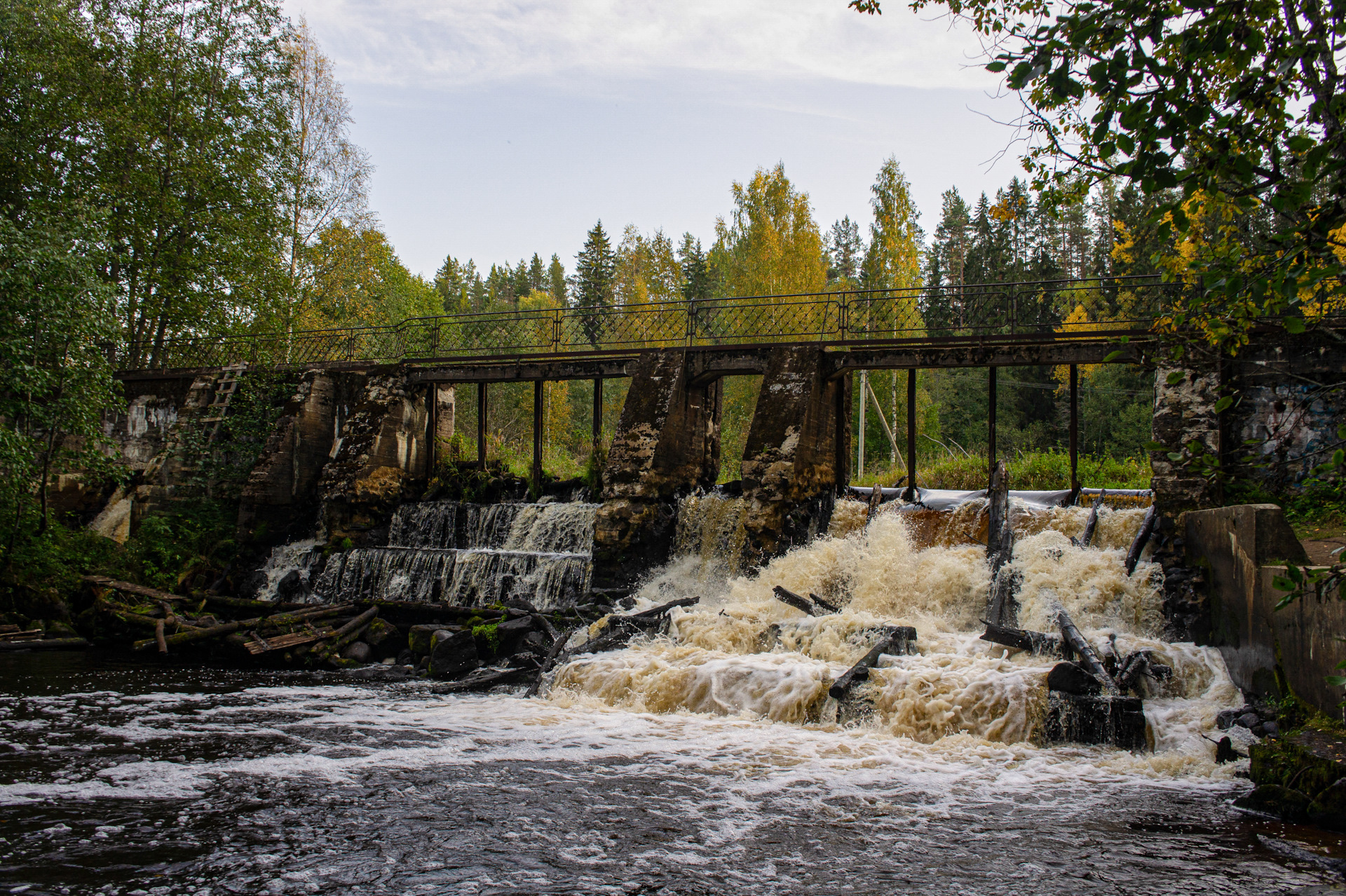 Снегокат ника тимка спорт 2 тс 2