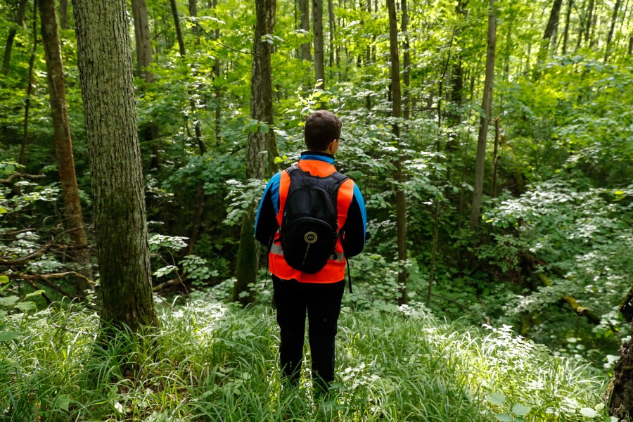 яркая одежда в лес