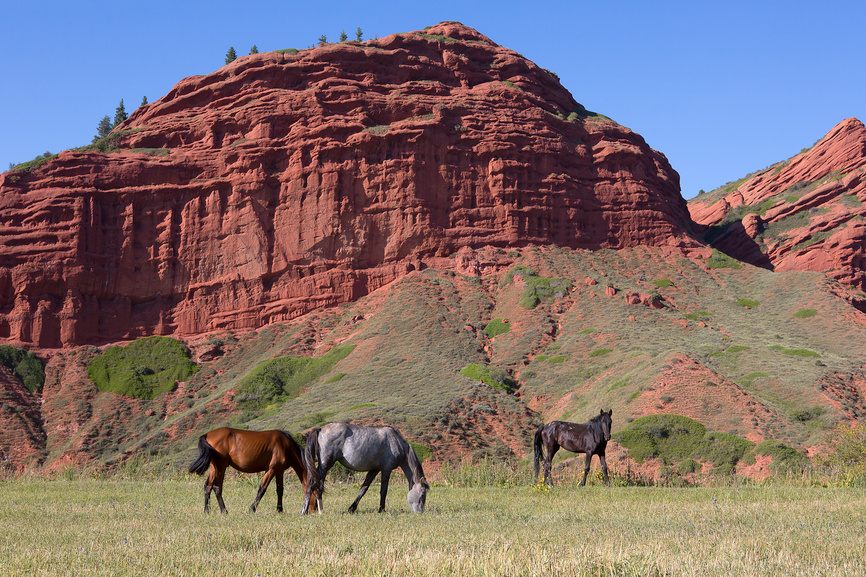 Лошади в ущелье Джети-Огуз