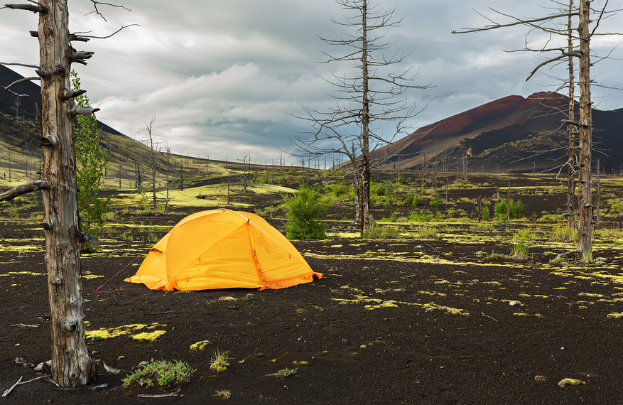 Мертвый лес Камчатки