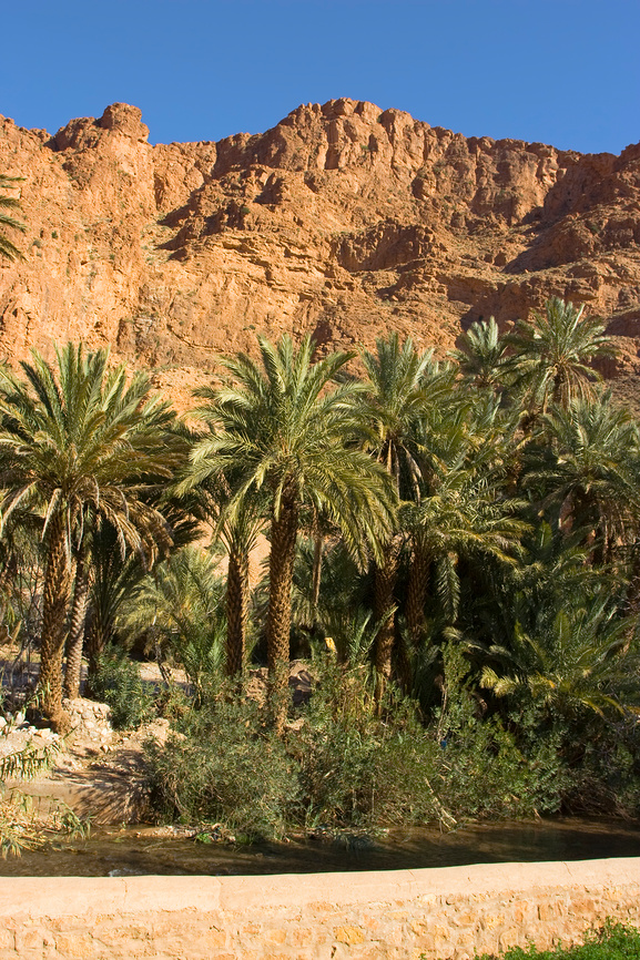 Красочное Марокко