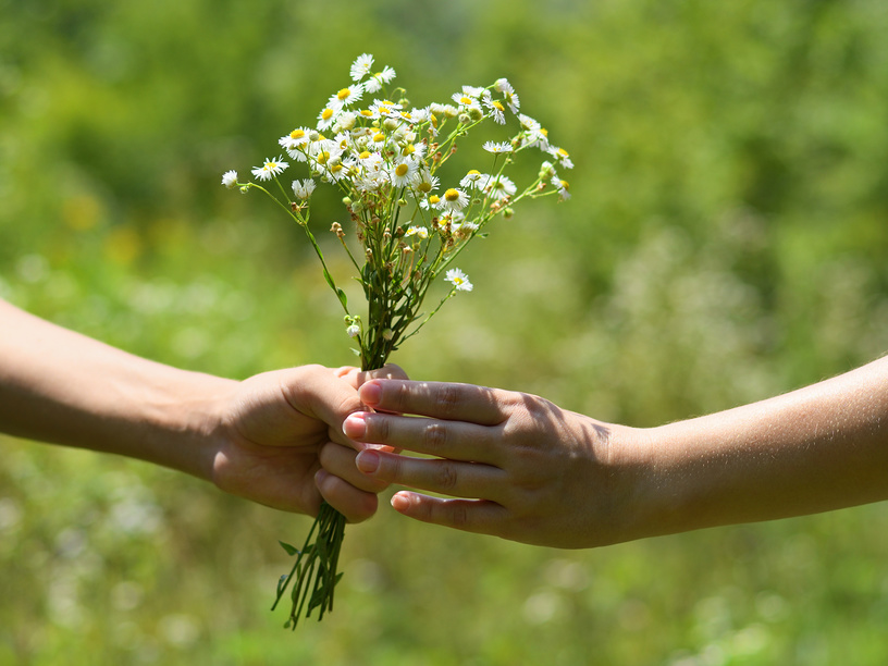 романтика в походе