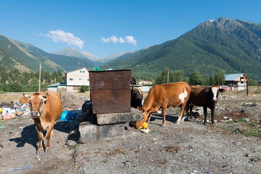 Мусор в Теберде